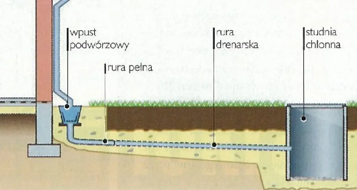 Jak odprowadzić deszczówkę? Prawo, metody, oszczędności i "Moja Woda"