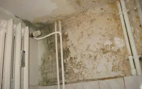 Hydroizolacja łazienki: Co daje "iso" i dlaczego jest kluczowe?