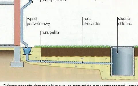 Jak odprowadzić deszczówkę? Prawo, metody, oszczędności i "Moja Woda"