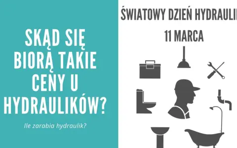Grafika z ikonami hydraulika, toalety, wanny, narzędzi i tekstem "Światowy Dzień Hydraulika".