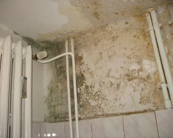 Hydroizolacja łazienki: Co daje "iso" i dlaczego jest kluczowe?