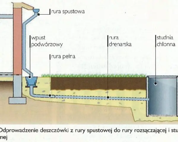 Jak odprowadzić deszczówkę? Prawo, metody, oszczędności i "Moja Woda"