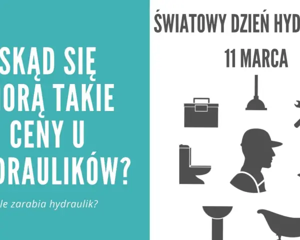 Grafika z ikonami hydraulika, toalety, wanny, narzędzi i tekstem "Światowy Dzień Hydraulika".