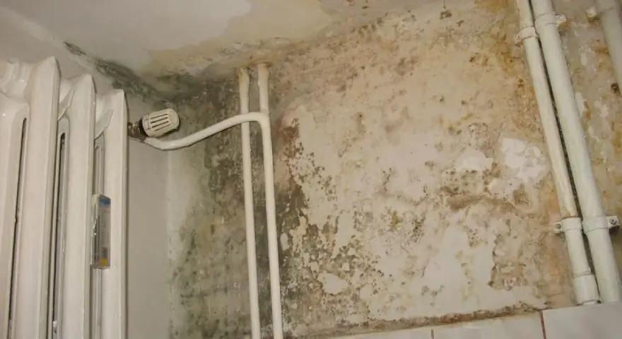 Hydroizolacja łazienki: Co daje "iso" i dlaczego jest kluczowe?